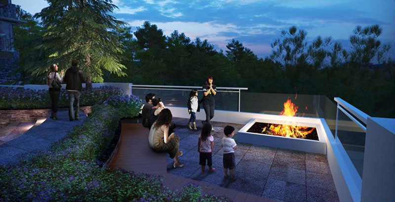 Fir Pit