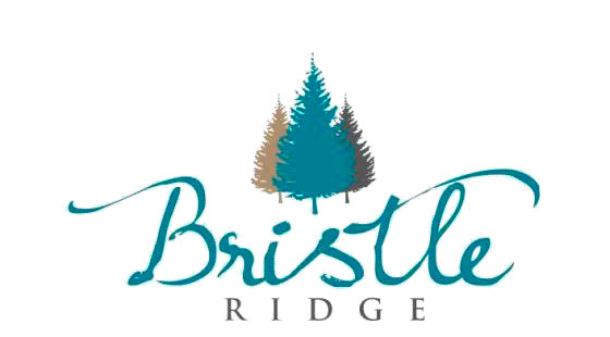 Bristle-Ridge-Logo-Main.jpg