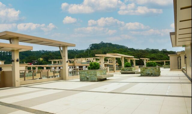 Bristle Ridge DMCI View Deck