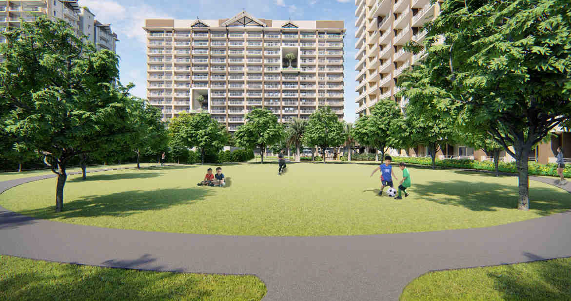 Activity Lawn