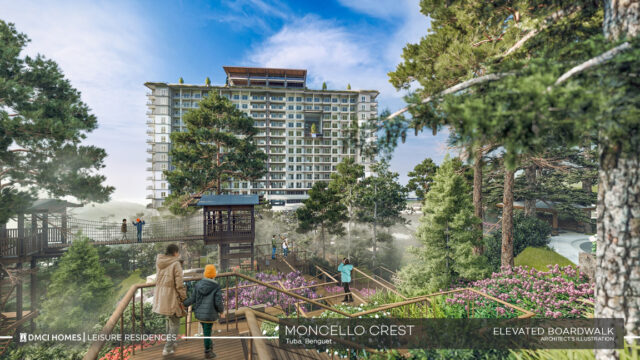 Moncello Crest Elevated Boardwalk